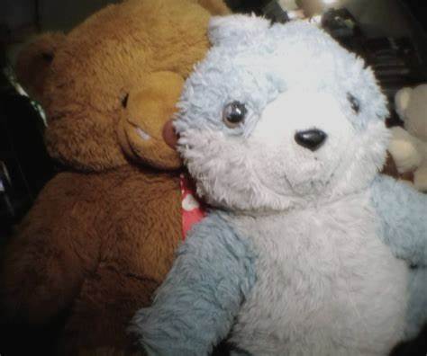 Stuffed toys Bear and Bunny Photo taken using Myphone Mobile Phones