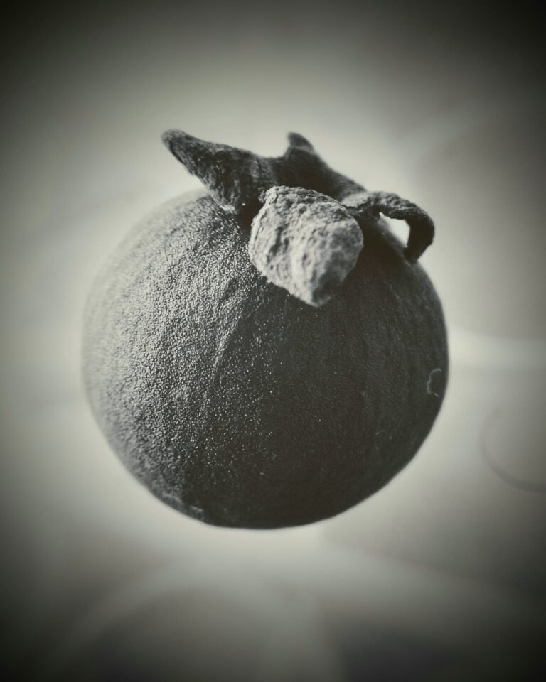 Guava photography martin belgica mobile photography