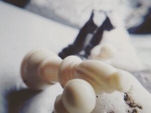 Fallen chess piece Macro Photography