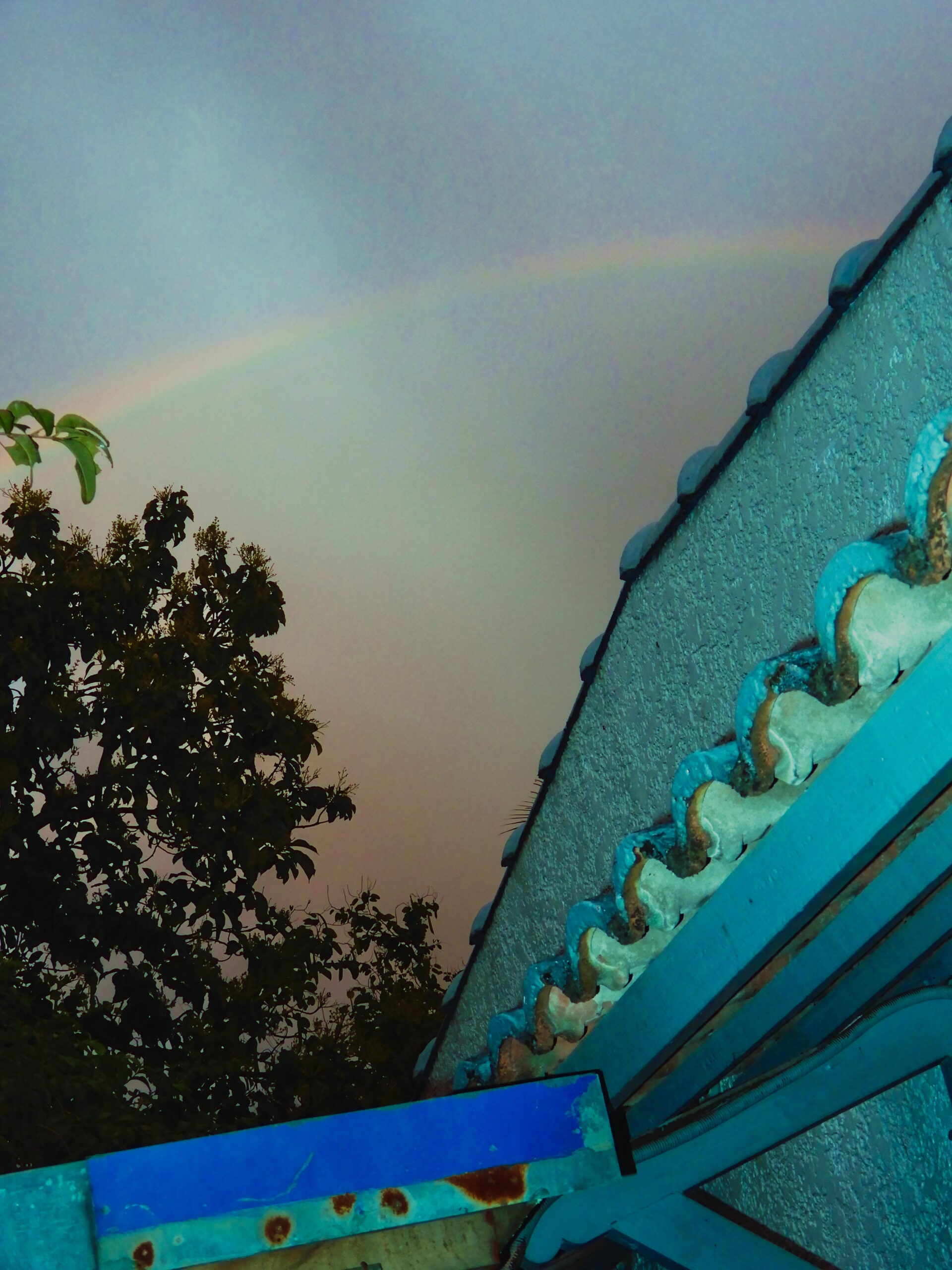 Rainbow photo outside the house