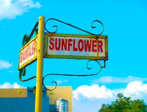 Sunflower Street Corner