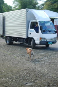 Dog walking Rambler Street with Truck Isuzu