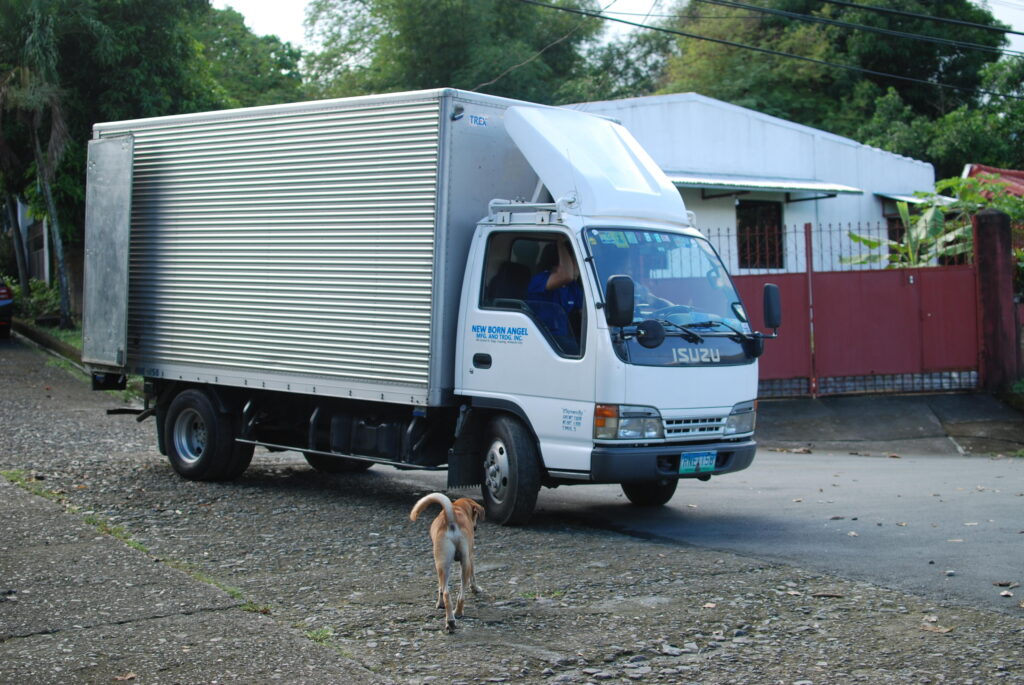 Street dog and Truck Isuzu