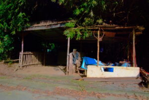 Cottage inside a village
