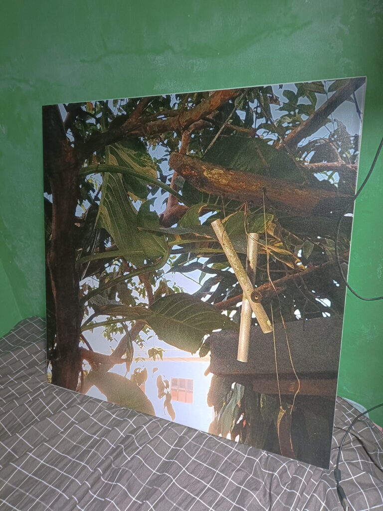 Printed photo from flicker moving chimes