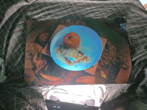 Printed photo from flicker Rotten Apple with insect